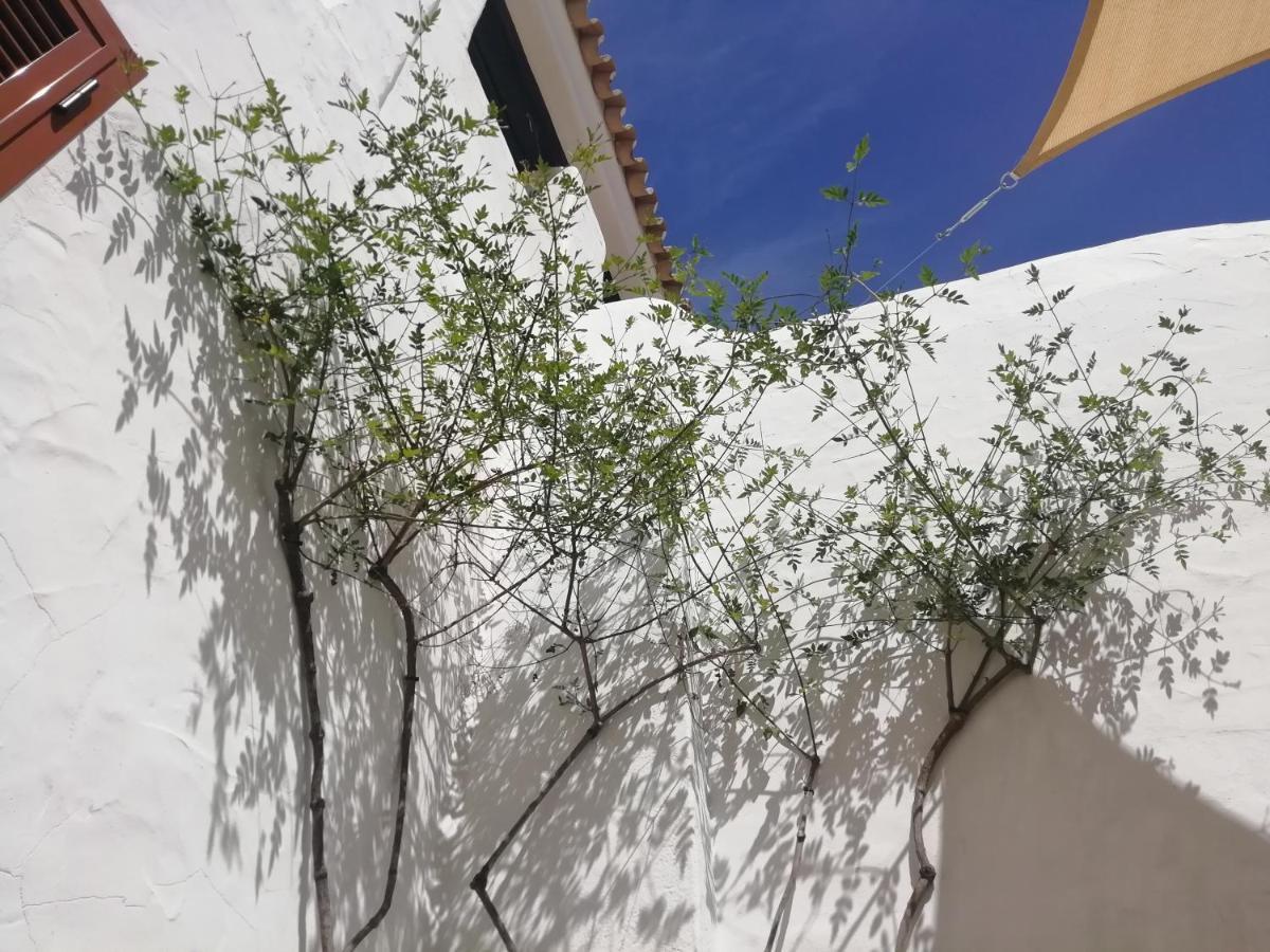 דירות מטלסקנס Two Lofts מראה חיצוני תמונה